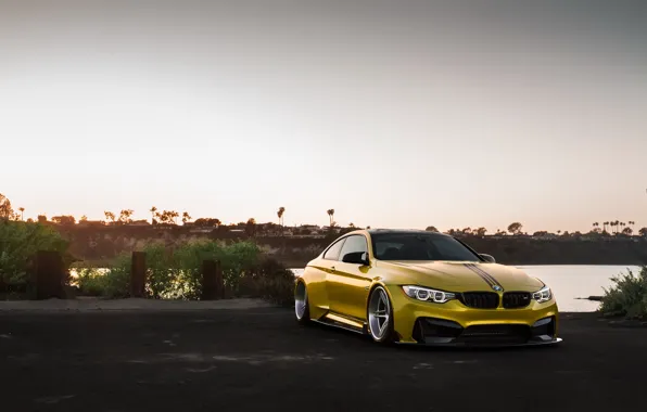 Yellow, BMW, Vorsteiner