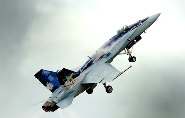 Картинка истребитель, многоцелевой, Hornet, перехватчик, CF-18