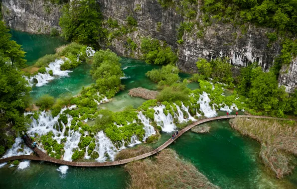 Картинка зелень, скала, озеро, тропики, растительность, водопад, мостик, Croatia