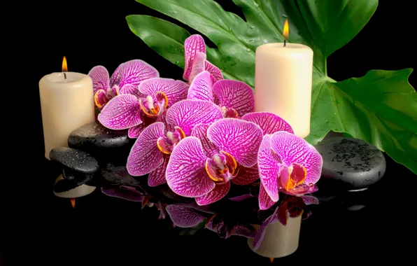 Картинка цветы, камни, свечи, орхидея