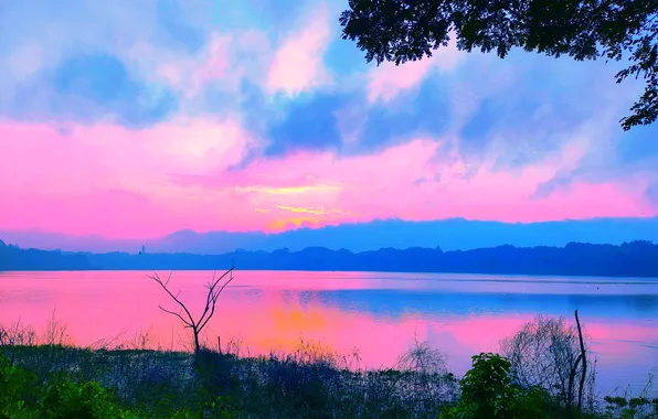 Sky, Grass, Water, Sunrise, Dawn, Morning, Lake, Trees