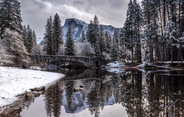 Nature, Winter, Landscape, Bridge, Snow, River, Trees