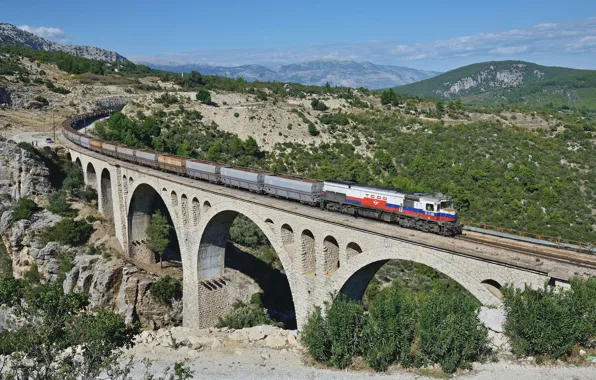 Bridge, train, tcdd