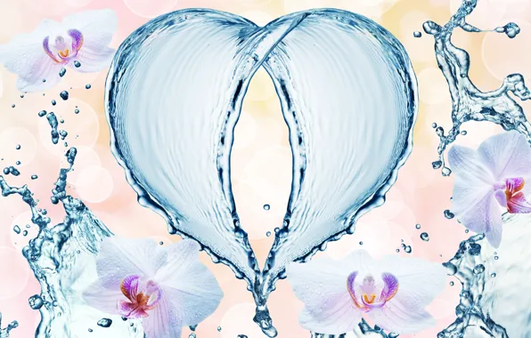 Картинка вода, капли, цветы, брызги, узор, сердце, орхидеи