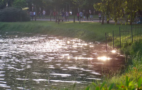 Brazil, Sao Paulo, Ibirapuera Park, Reflection of Sunlight on Lake