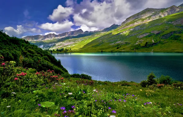 Картинка облака, пейзаж, цветы, горы, природа, озеро, Швейцария, луга