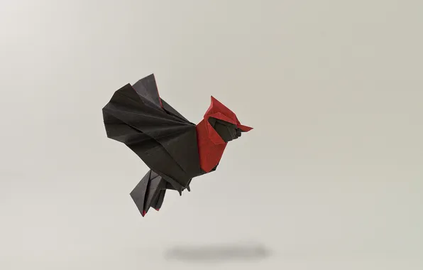 Полет, птица, крылья, тень, оригами