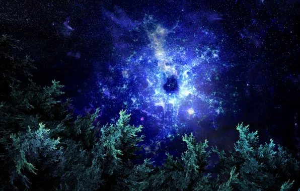 Лес, космос, абстракция, space, фрактал, forest, fractal