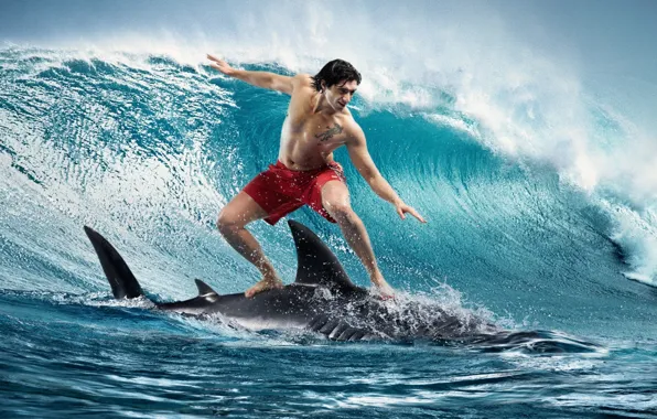 Картинка волна, акула, парень, сёрфинг, surfing