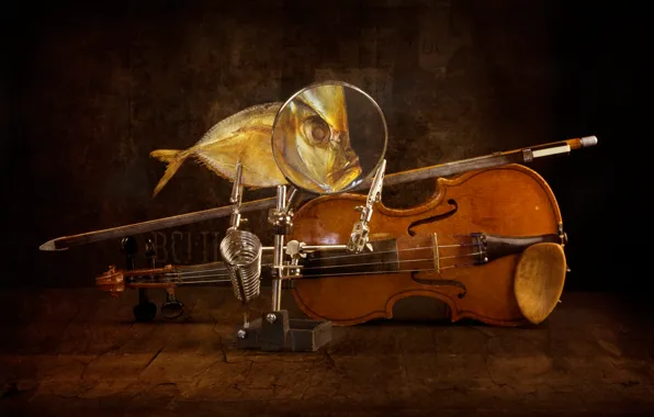 Скрипка, рыба, арт, смычок