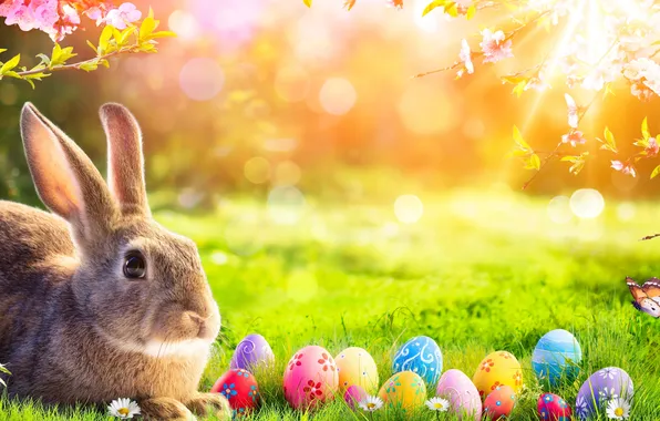Цветы, яйца, весна, colorful, Пасха, happy, flowers, spring