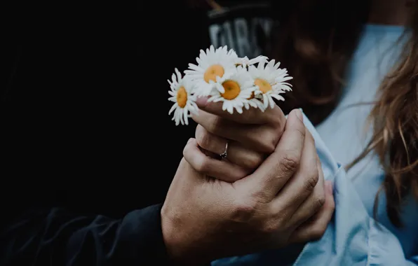 Картинка девушка, цветы, ромашки, руки, мужчина