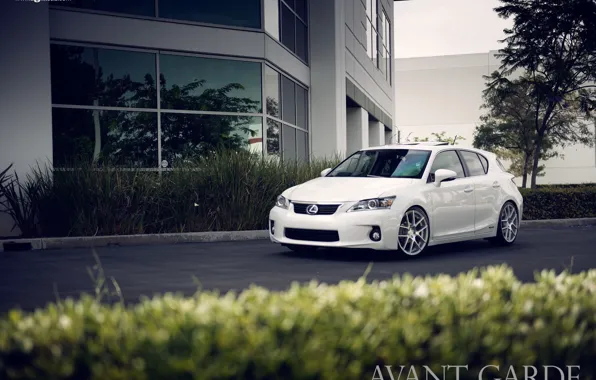 Белый, white, лексус, Lexus CT 200h