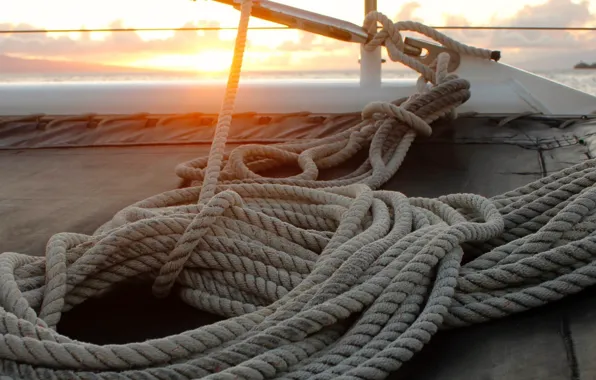 Парусник, яхта, канат, катамаран, такелаж, оснастка, ropes, sailboat