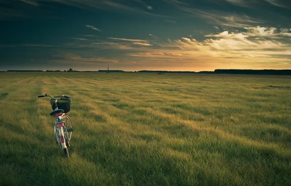 Картинка поле, небо, трава, облака, пейзаж, закат, природа, велосипед