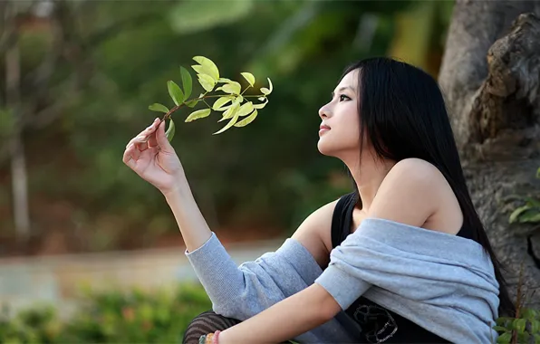 Mood, asian, oriental