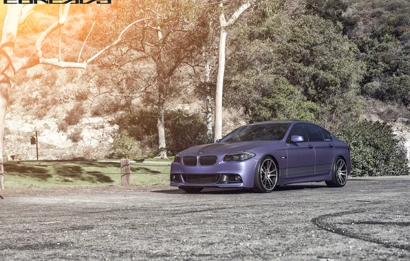 Картинка BMW, F10, Concavo, CW-S5, DBX, Matte Purple