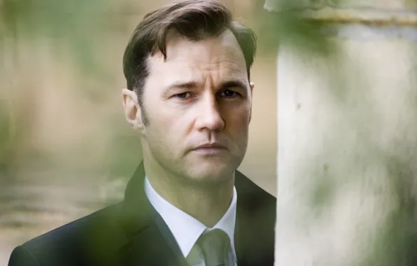 Лицо, актёр, David Morrissey, Дэвид Моррисси