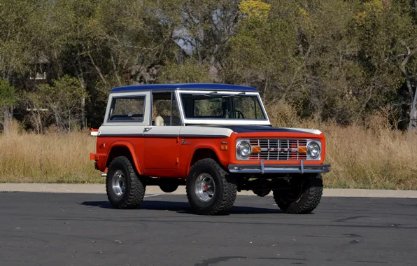 Ford, 1971, колёса, Wagon, Bronco, Baja Edition, Stroppe