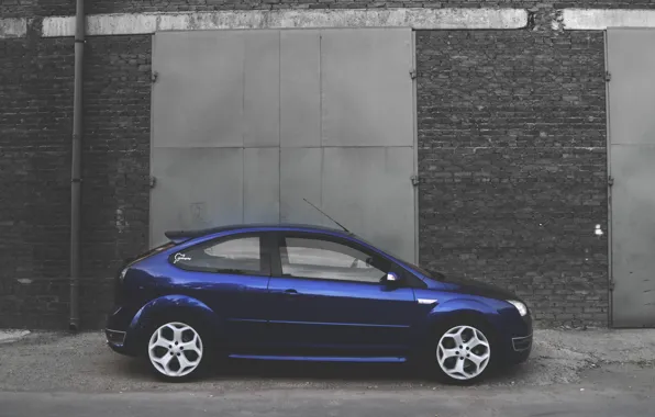 Машина, Ford, Focus, cars, blue
