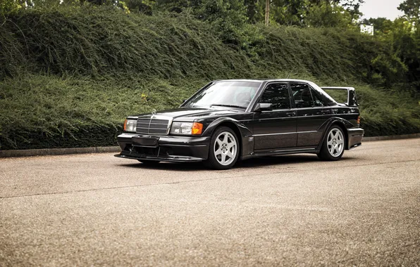 Mercedes-Benz, Mercedes, 1990, 190, Mercedes-Benz 190 E 2.5-16 Evolution II