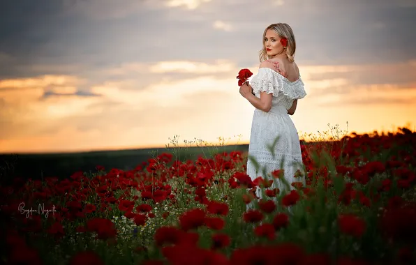 Цветы, белое платье, маковое поле, красивая женщина, Between-Petals, Bogdan Negoita