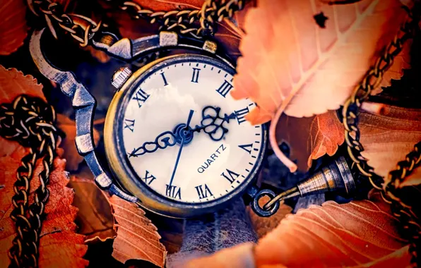 Картинка осень, листья, стрелки, часы, циферблат, autumn, leaves, hands
