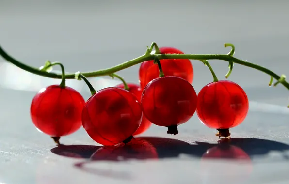 Ягоды, фон, смородина, красная смородина