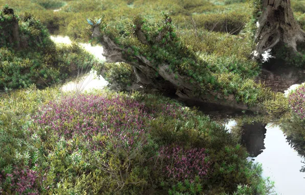 Растительность, коряга, mossy