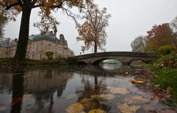 Картинка осень, листья, вода, мост, дом, пруд, дождь