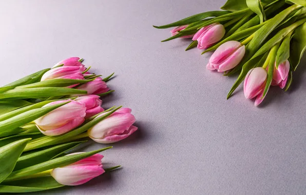 Картинка цветы, букет, тюльпаны, розовые, fresh, pink, flowers, beautiful