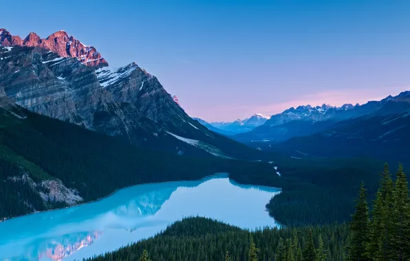 Картинка лес, горы, река, канада
