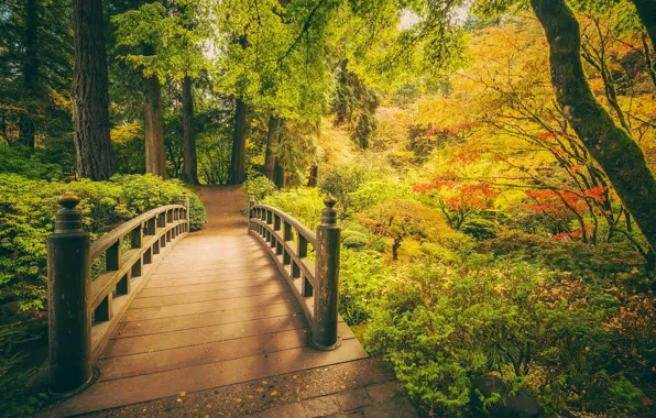 Осень, деревья, парк, Орегон, Портленд, мостик, Японский сад, Oregon