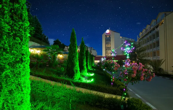Цветы, Природа, Деревья, Nature, Звездная ночь, Flowers, Сочи, Trees