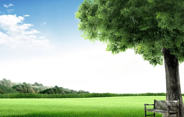 Картинка небо, трава, скамейка, дерево