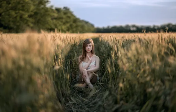 Картинка пшеница, поле, лето, небо, девушка, природа