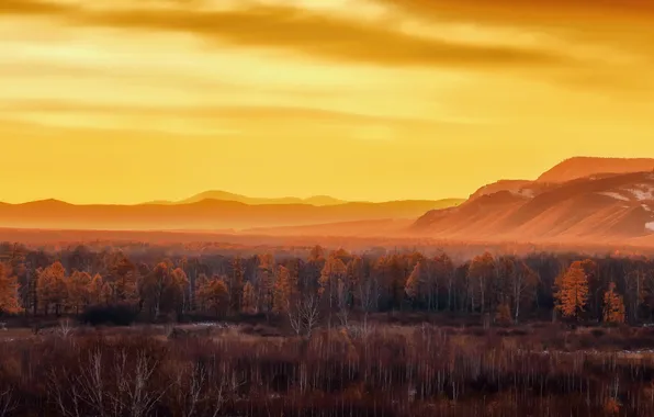 Картинка landscape, morning, fall