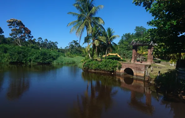Suriname, Plantation Bakkie, Plantage Bakkie, Polder Suriname