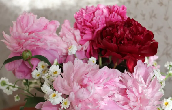 Цветы, букет, весна, розовые цветы, пионы