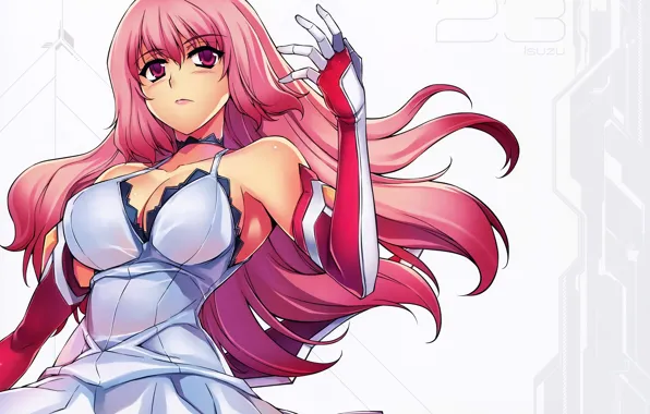 Girl, fighter, long hair, dress, big, anime, pretty, asian