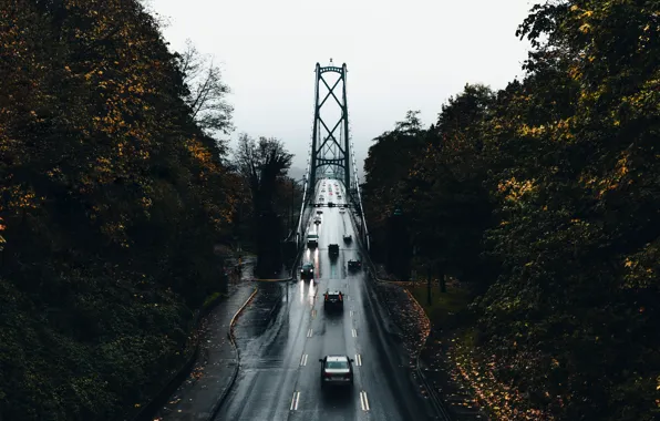 Картинка дорога, осень, деревья, машины, мост, город, мокрая