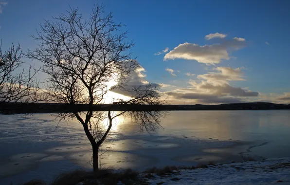 Лед, зима, солнце, закат, озеро, дерево, облако