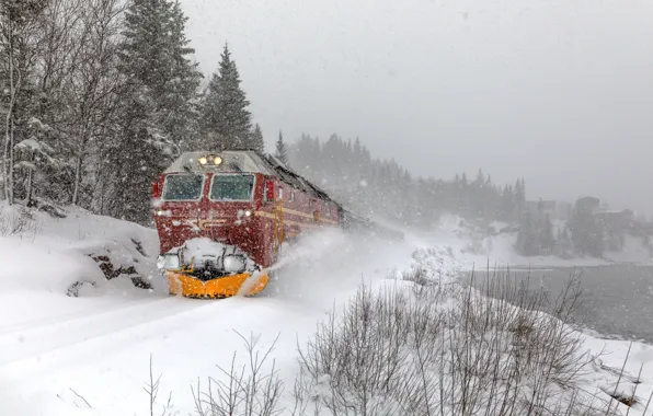 Картинка Зима, Деревья, Снег, Поезд, Норвегия, Norway, Между Финнейд-фьордом и Мо-и-Раной, Between Finneidfjord and Mo i …