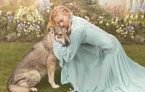 Картинка взгляд, девушка, поза, собака, платье, Sophie Turner