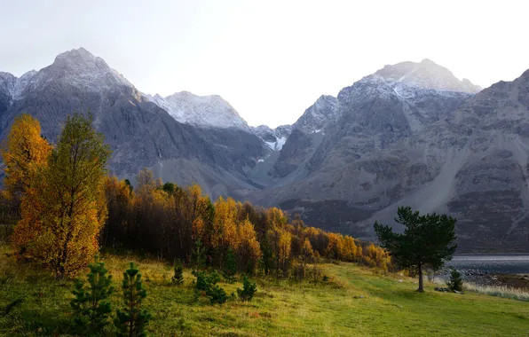 Осень, лес, небо, деревья, горы, склон