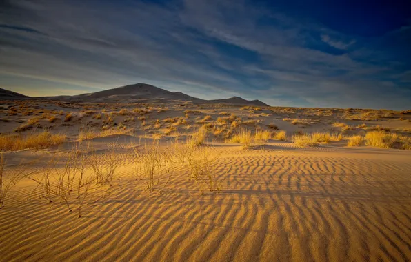 Картинка песок, небо, природа, холмы, пустыня, кусты