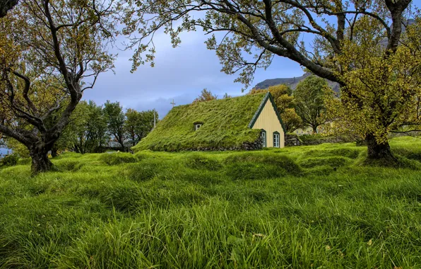Grass, trees, church, cloudy, turf church