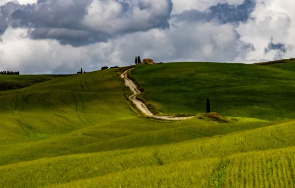 Дорога, поле, небо, трава, облака, холмы, вид, поля