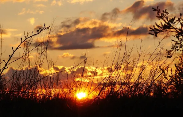 Dark, sky, sunset
