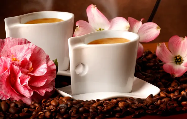 Картинка цветы, кофе, кофейные зерна, flowers, аромат, coffee, aroma coffee beans